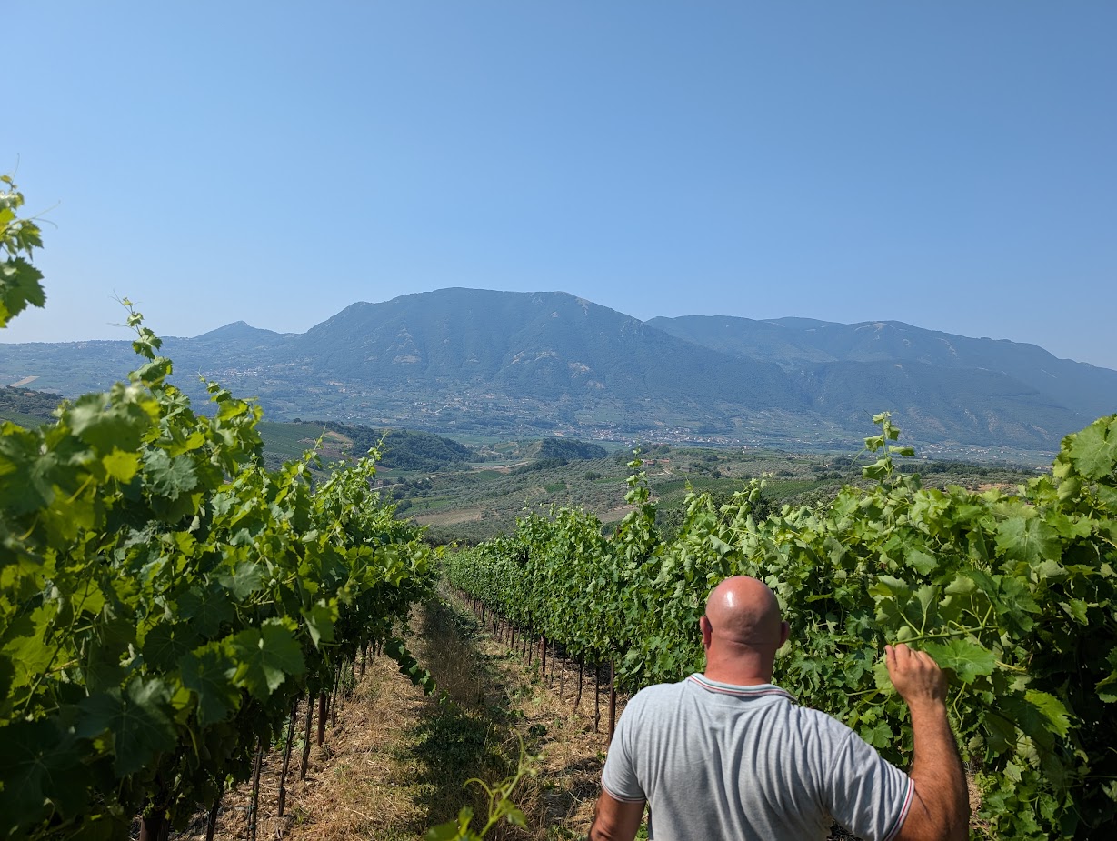 PXL_20250621_074948106.MP